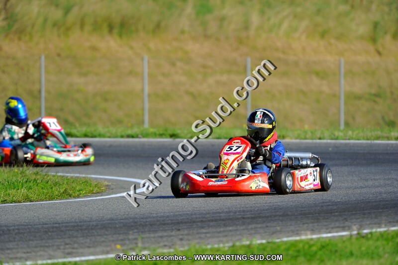 DSC_ (923).jpg